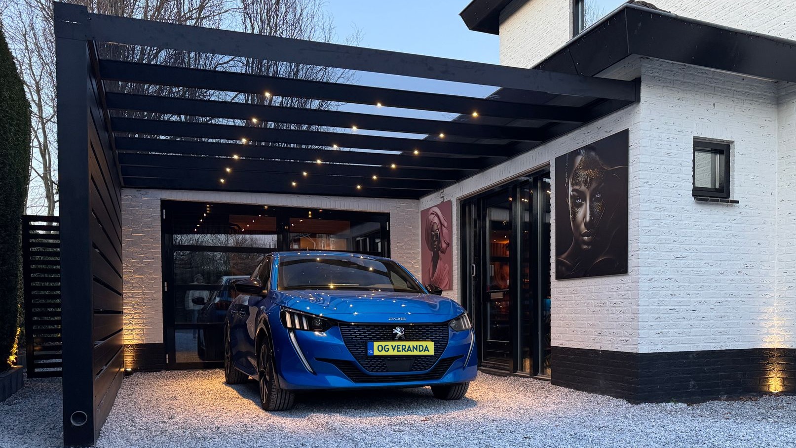 Professional Carport